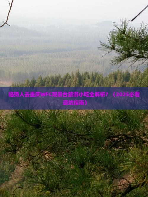 临猗去重庆wfc观景台旅游小吃