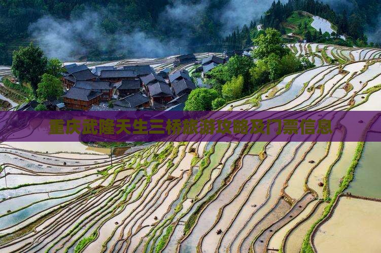 库尔勒去重庆武隆天生三桥门票