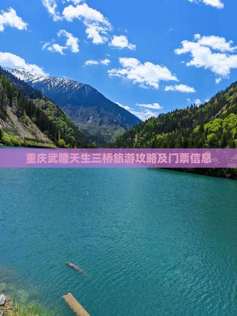 库尔勒去重庆武隆天生三桥门票