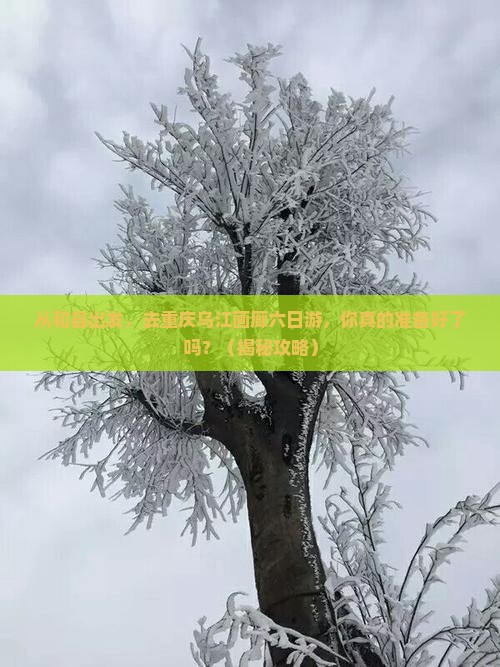 和县去重庆乌江画廊六日游