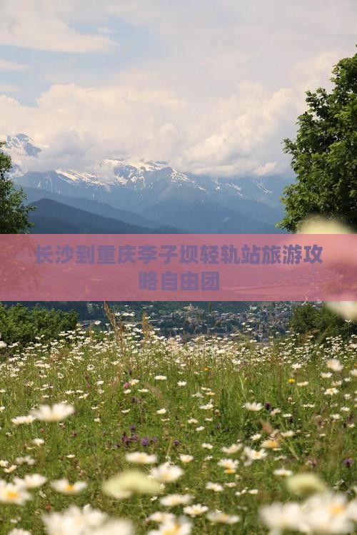 长沙到重庆李子坝轻轨站自由团