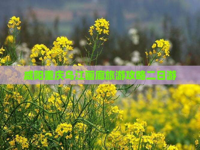 咸阳去重庆乌江画廊二日游