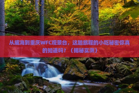 威海到重庆wfc观景台旅游小吃