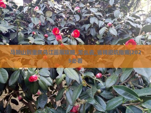 马鞍山到重庆乌江画廊攻略