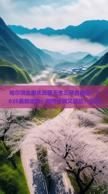 哈尔滨去重庆武隆天生三桥自由团