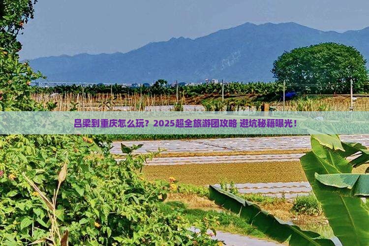 吕梁到重庆大型旅游团