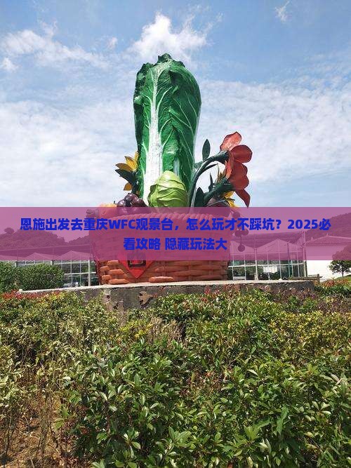 恩施去重庆wfc观景台哪里玩