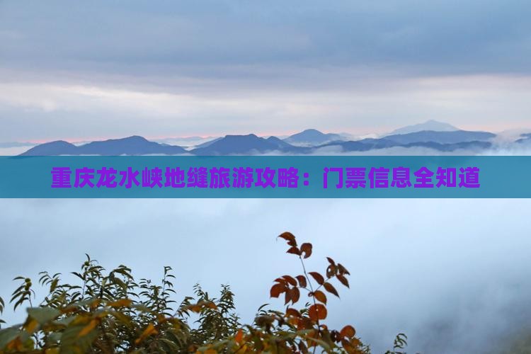 朔州到重庆龙水峡地缝门票
