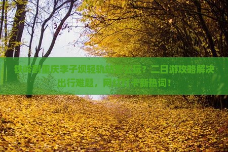 铁岭到重庆李子坝轻轨站二日游