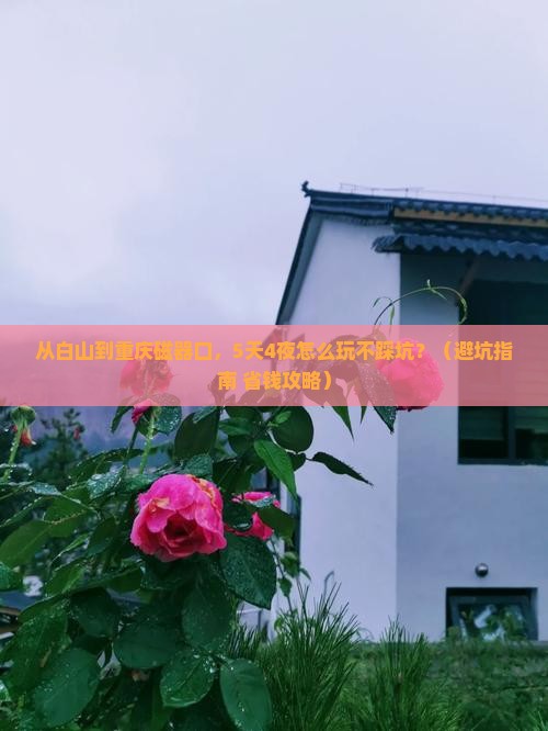 白山到重庆磁器口团体旅游