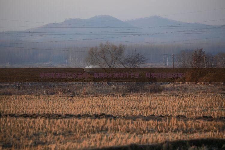 攀枝花去重庆必去地