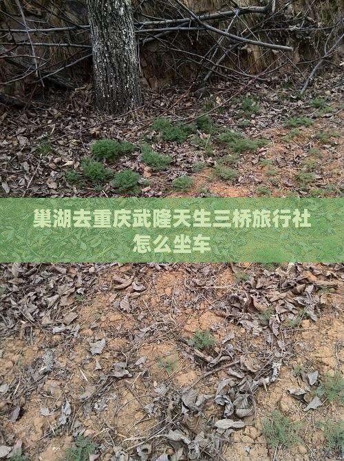 巢湖去重庆武隆天生三桥旅行社