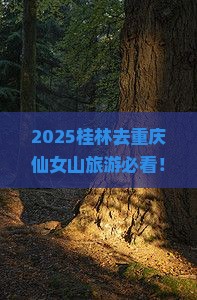 桂林去重庆仙女山旅游