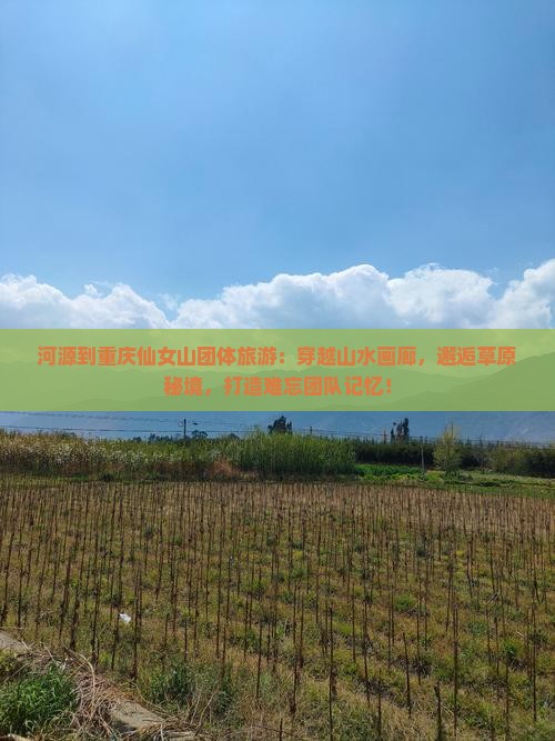 河源到重庆仙女山团体旅游