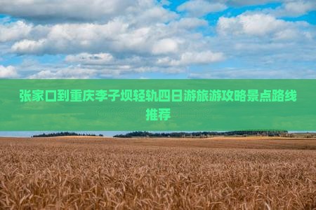 张家口到重庆李子坝轻轨站四日游