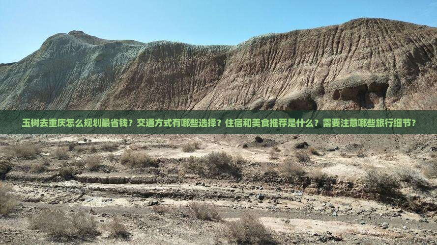 玉树去重庆攻略