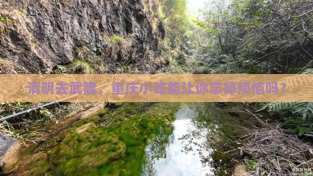 清明节去重庆武隆旅游小吃