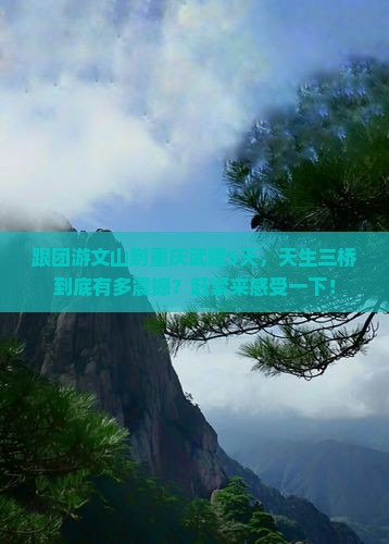 文山到重庆武隆天生三桥五日游