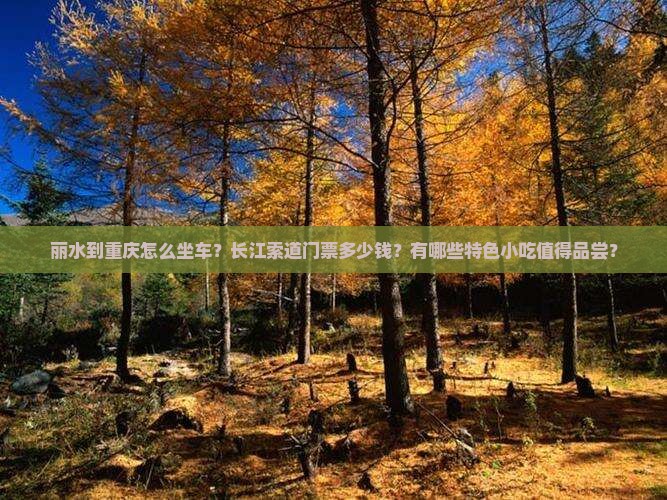丽水到重庆长江索道旅游小吃