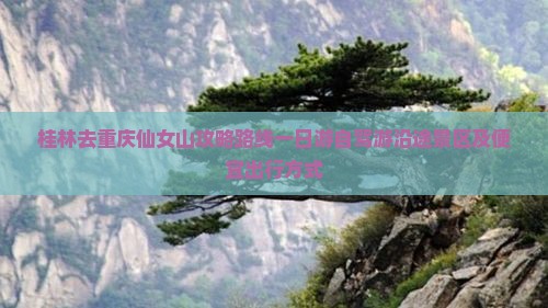 桂林去重庆仙女山攻略