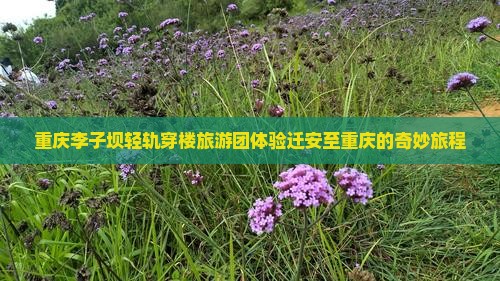 迁安到重庆李子坝轻轨站大型旅游团