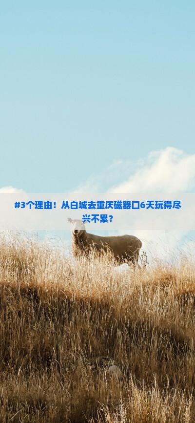 白城到重庆磁器口六日游