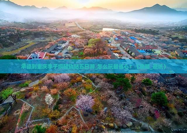 承德到重庆李子坝轻轨站五日游
