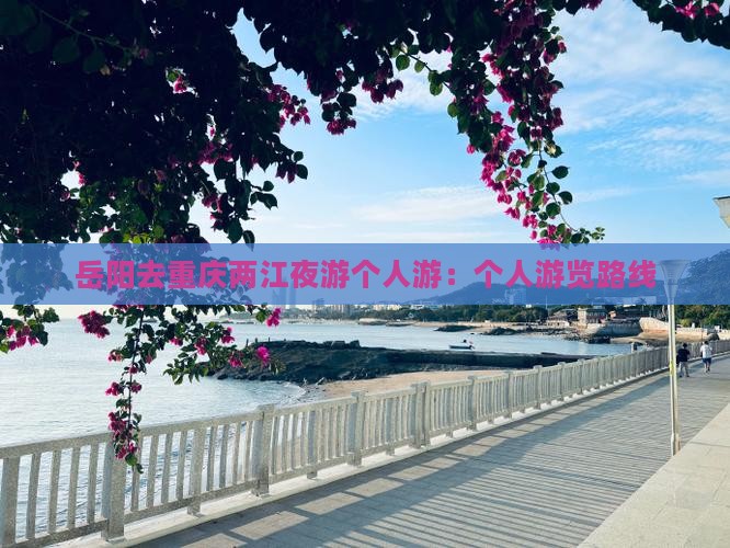 岳阳去重庆两江夜游个人游