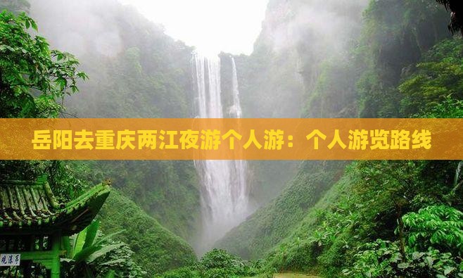 岳阳去重庆两江夜游个人游