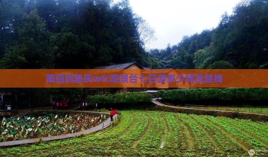 莆田到重庆wfc观景台七日游