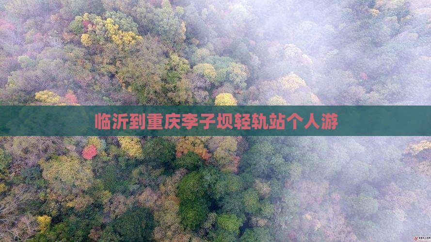 临沂到重庆李子坝轻轨站个人游