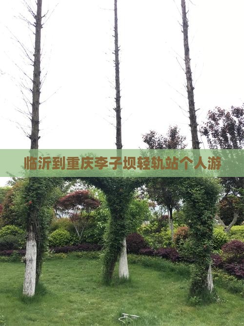 临沂到重庆李子坝轻轨站个人游