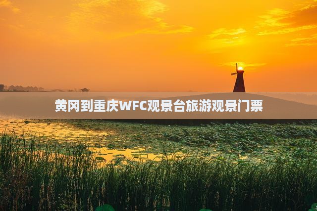 黄冈去重庆wfc观景台门票