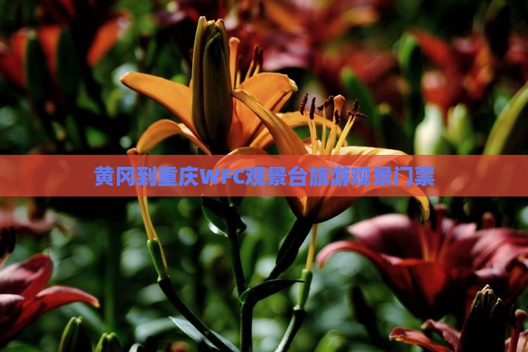 黄冈去重庆wfc观景台门票