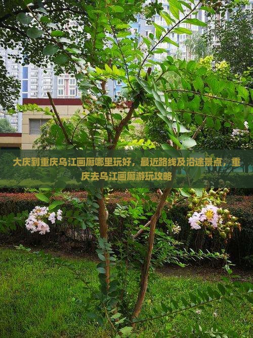大庆到重庆乌江画廊哪里玩 大庆到重庆乌江画廊哪里玩