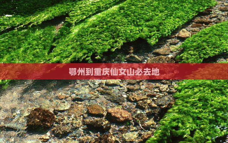 鄂州到重庆仙女山必去地