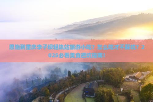 恩施到重庆李子坝轻轨站旅游小吃