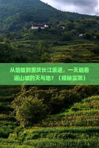 楚雄去重庆长江索道一日