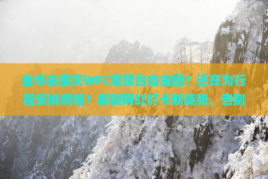 金华去重庆wfc观景台自由团