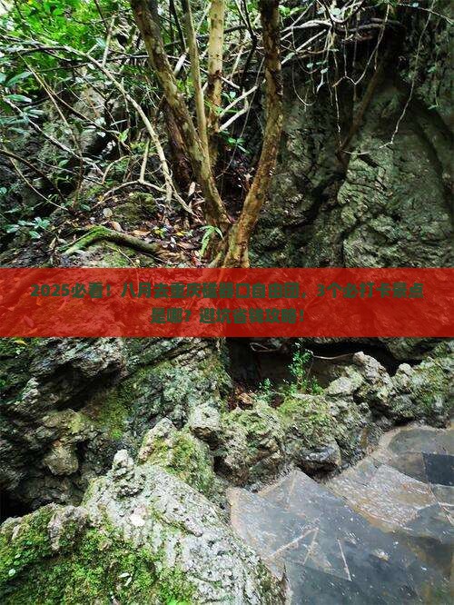 八月去重庆磁器口自由团