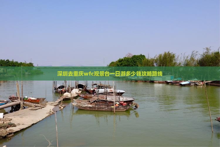 深圳去重庆wfc观景台一日