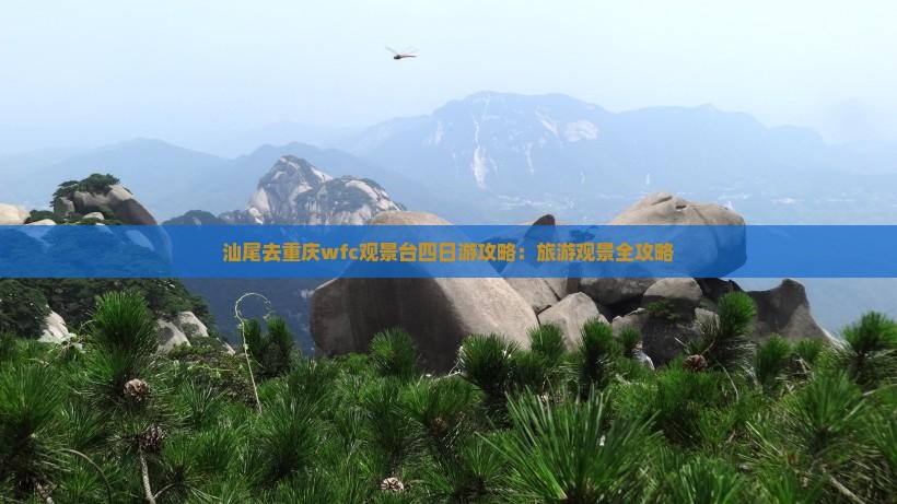 汕尾去重庆wfc观景台四日游