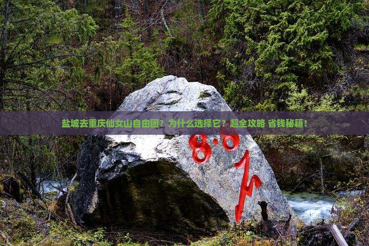 盐城去重庆仙女山自由团