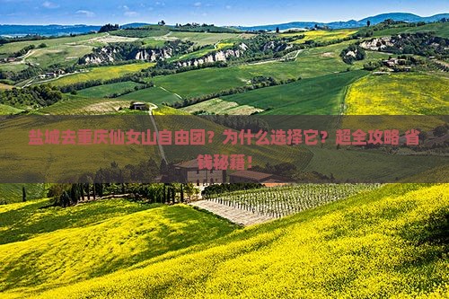 盐城去重庆仙女山自由团