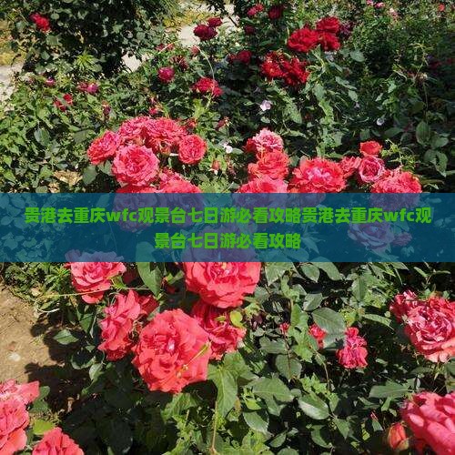 贵港去重庆wfc观景台七日游