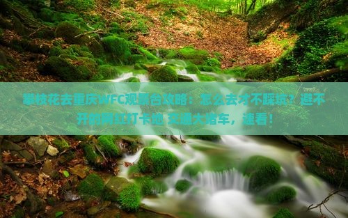 攀枝花去重庆wfc观景台攻略