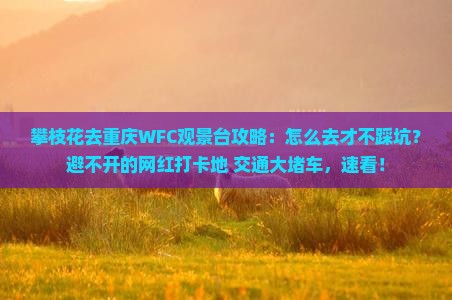 攀枝花去重庆wfc观景台攻略