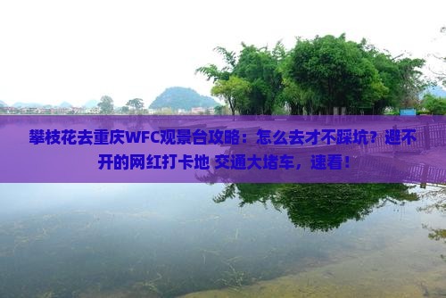 攀枝花去重庆wfc观景台攻略