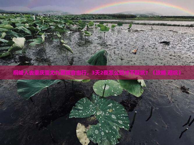 桐城去重庆蚩尤九黎城自由行