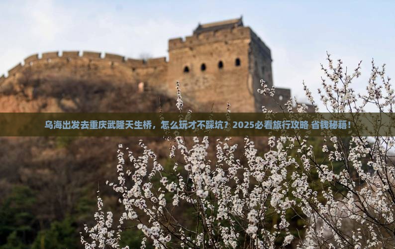 乌海去重庆武隆天生三桥旅行社